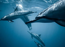 魔兽：职业套装掉落大改！按护甲类型区分，板甲竞争太大！